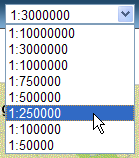 Champ Zoom To Scale